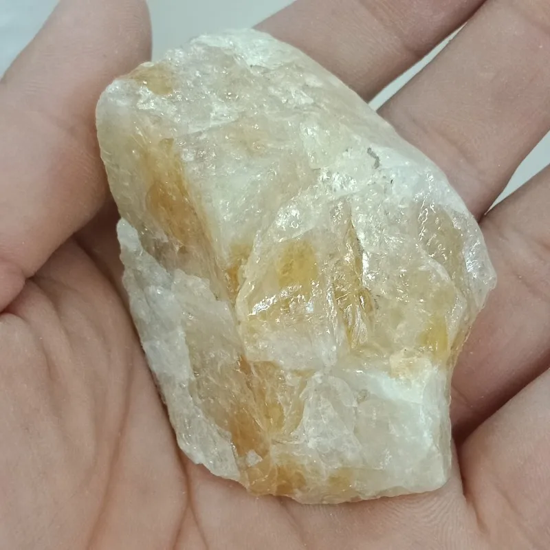 conew_img20190421180006