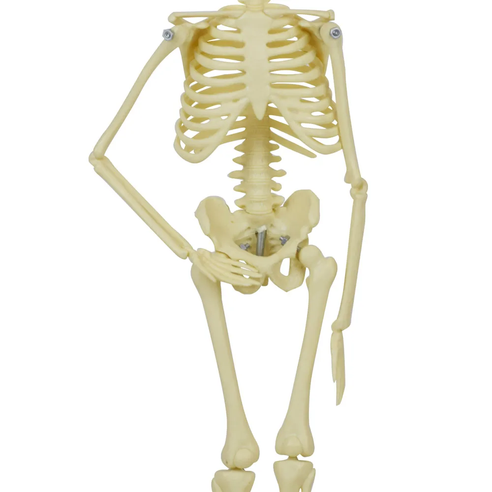  (3)