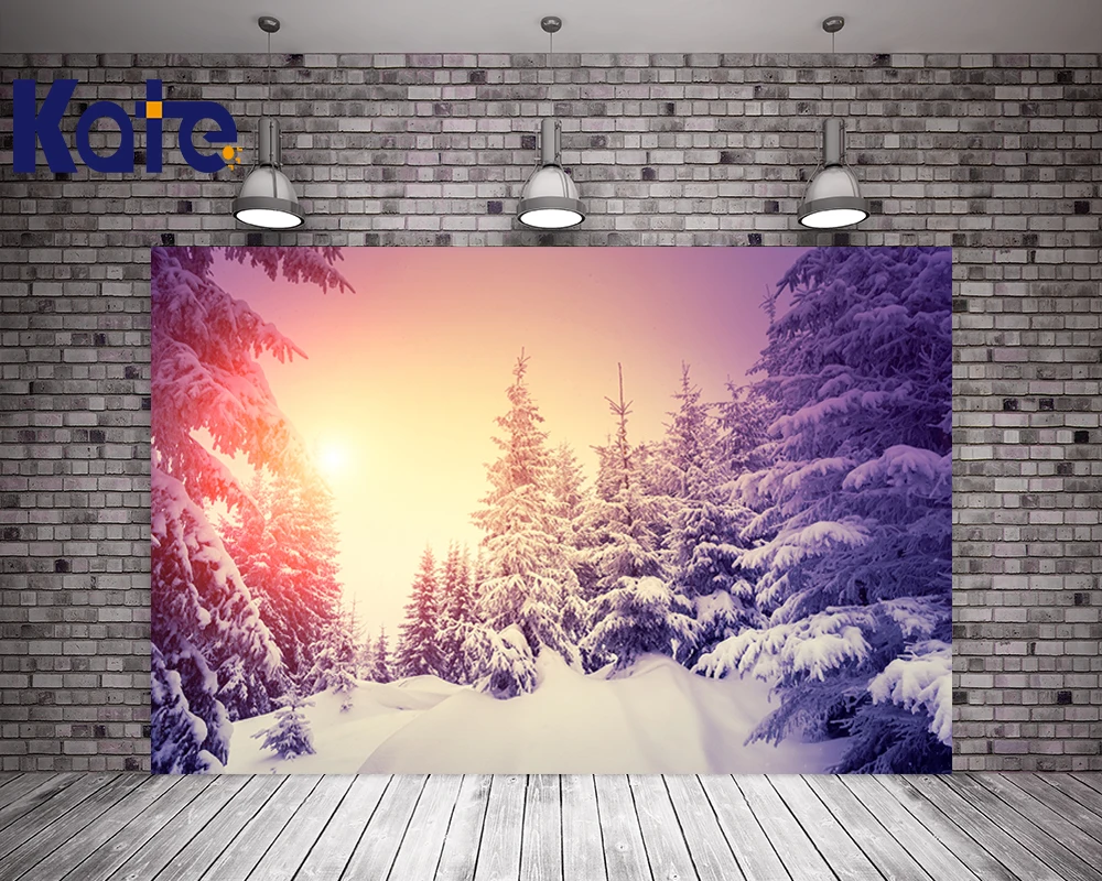 

Kate Winter Snow Photography Backdrops Ice Trees Blue Sky Backgrounds For Photo Studio Sunset Microfiber Backdarops