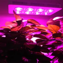 G3 Pro 400 Вт удара светодиодные лампы/СИД УДАРА завода светать лампа/8*50 Вт LED завод лампы растут огни