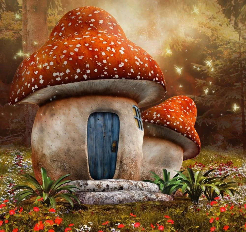 Arriere Plan De Conte De Fees 5x7 Pieds Heure De Champignon Dans La Foret Arriere Plan De Photo De Nouveau Ne Bebe Studio D Arriere Plan Personnalise Pour Photos D Enfants Aliexpress Arriere Plan De Conte De Fees 5x7 Pieds Heure De Champignon Dans La Foret Arriere Plan De Photo De Nouveau Ne Bebe Studio D Arriere Plan Personnalise Pour Photos D Enfants Aliexpress
