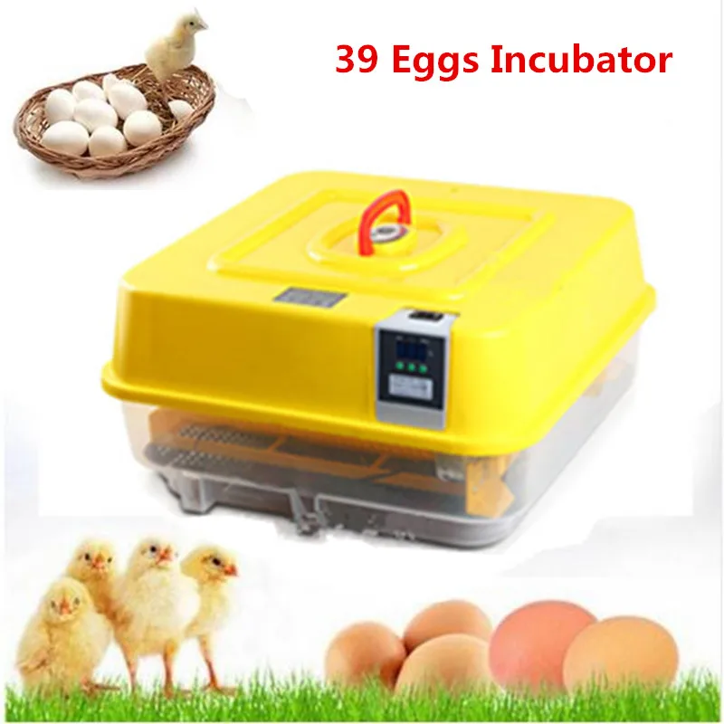 Fully automatic incubator for chicken ducks goose quail eggs hatchery mini household poultry brooder digital display Fully automatic incubator for chicken ducks goose quail eggs hatchery mini household poultry brooder digital display