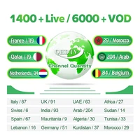 android 4 Android 8.1 IPTV Box IPTV France Arabic Netherlands T95X2 S905X2 4K H.265 4+32G Algeria Belgium IPTV Code IP TV 1 Year Box (2)