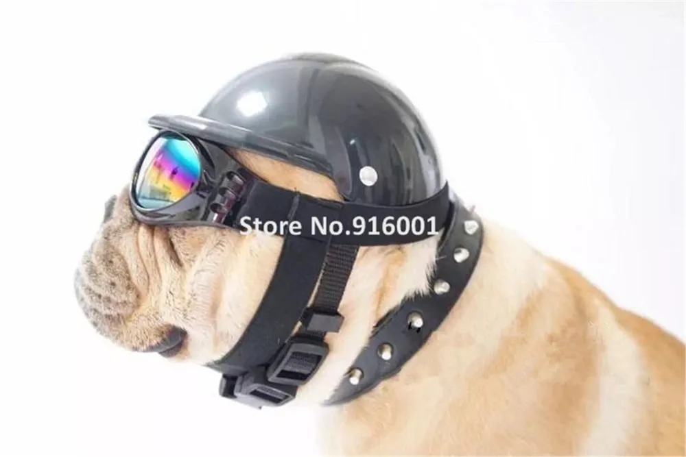 pet dog helmet (6)