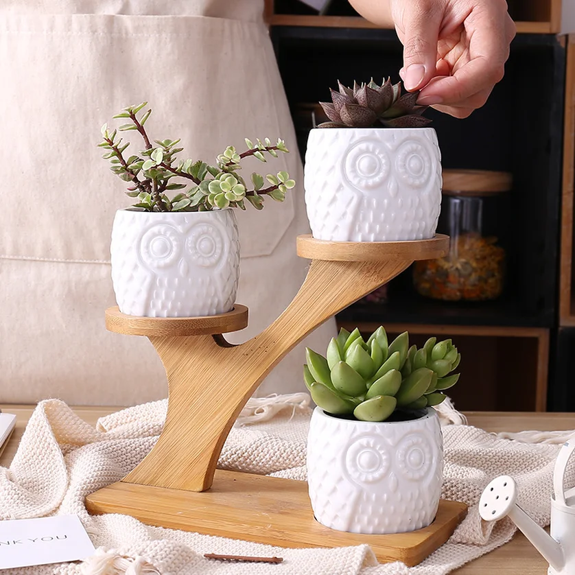 1 Set Ceramic Owl Garden Pots Modern Decorative Nursery Succulent Plant Pot 3 Bonsai Planters with 3-Tier Bamboo Shelf Hot Sale