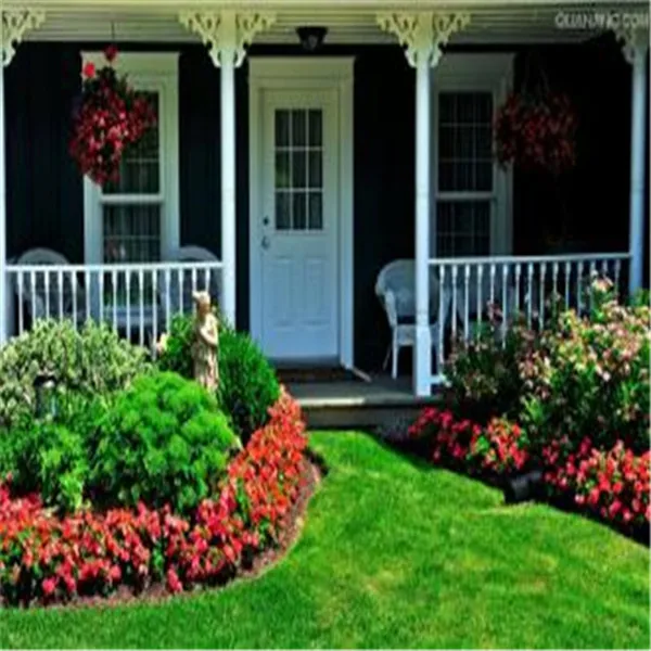 300 Pcs Japanese Forest Grass lawn, Perennial Evergreen Lawn bonsai plant, Beautiful Garden Ornamental Plant, Easy to Grow 300 Pcs Japanese Forest Grass lawn, Perennial Evergreen Lawn bonsai plant, Beautiful Garden Ornamental Plant, Easy to Grow