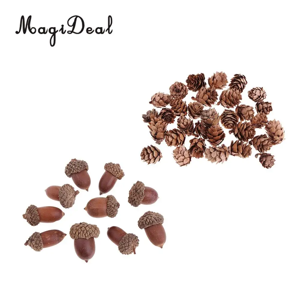 40Pcs Small Natural Pine Cones Acorns In Bulk Dried Flowers Table Ornament for Home Christmas Decoration DIY Craft