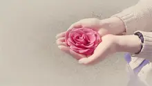 HTB1bX_YXVHM8KJjSZFwq6AibXXaV