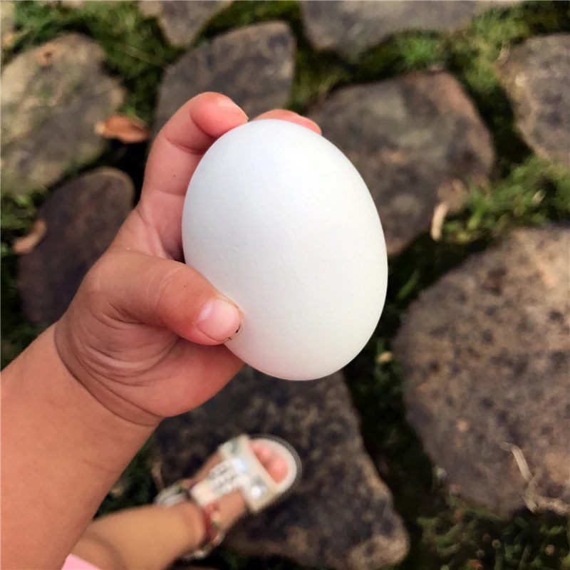 egg-5