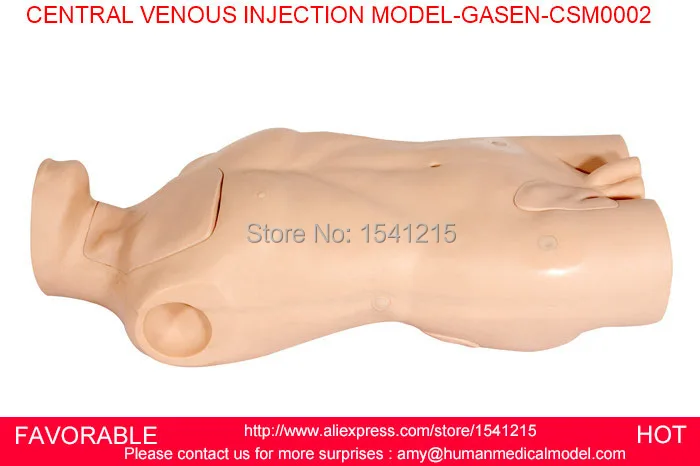 

CPR TRAINING MANIKIN SIMULATOR MEDICAL TRAINING MANIKINS MEDICAL TRAINING MANIKINS CENTRAL VENOUS INJECTION MODEL-GASEN-CSM0002