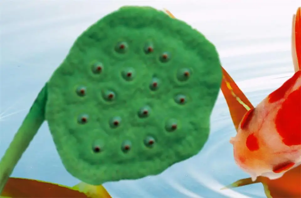 36020180102231348162