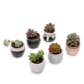 

6pcs/set Mini Ceramic Cute Thumb Pot Flower Pot Bonsai Small Pots for Flowers Succulent Planter Garden Balcony Decoration