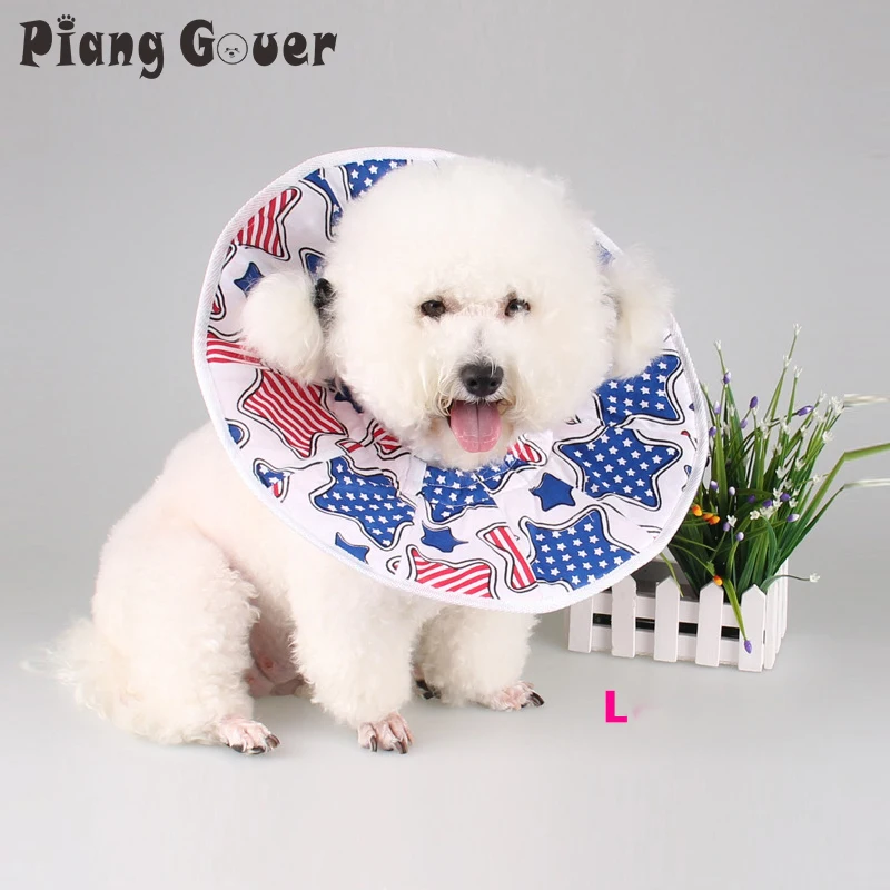 Elizabeth Circle soft edge protective for neck dog protection pet Wound