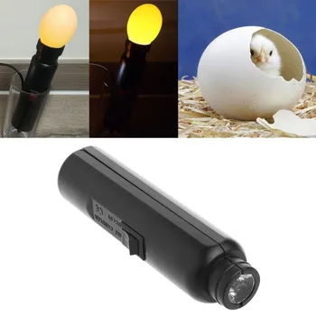 

LED Light Incubator eggs Candler Tester For Hatching eggss Quail Poultry with Power Adapter