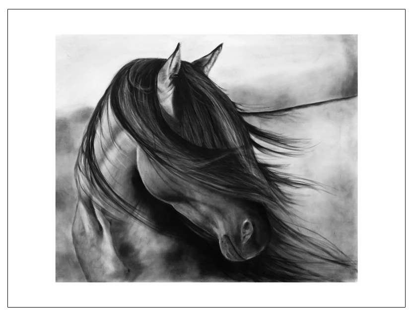 

Photographic frameless painting horse in wind freedom natural black and white pictures mural painting canvas