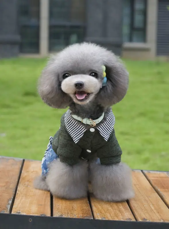 Y117_2016_Winter_Pet_dog_Fleece_sweater_clothes_Lovely_super_Warm_Fleece_4_legs_clothes_for_Puppy_dog_Jumpsuit_Coverall_Costume_Apparel_ (12)