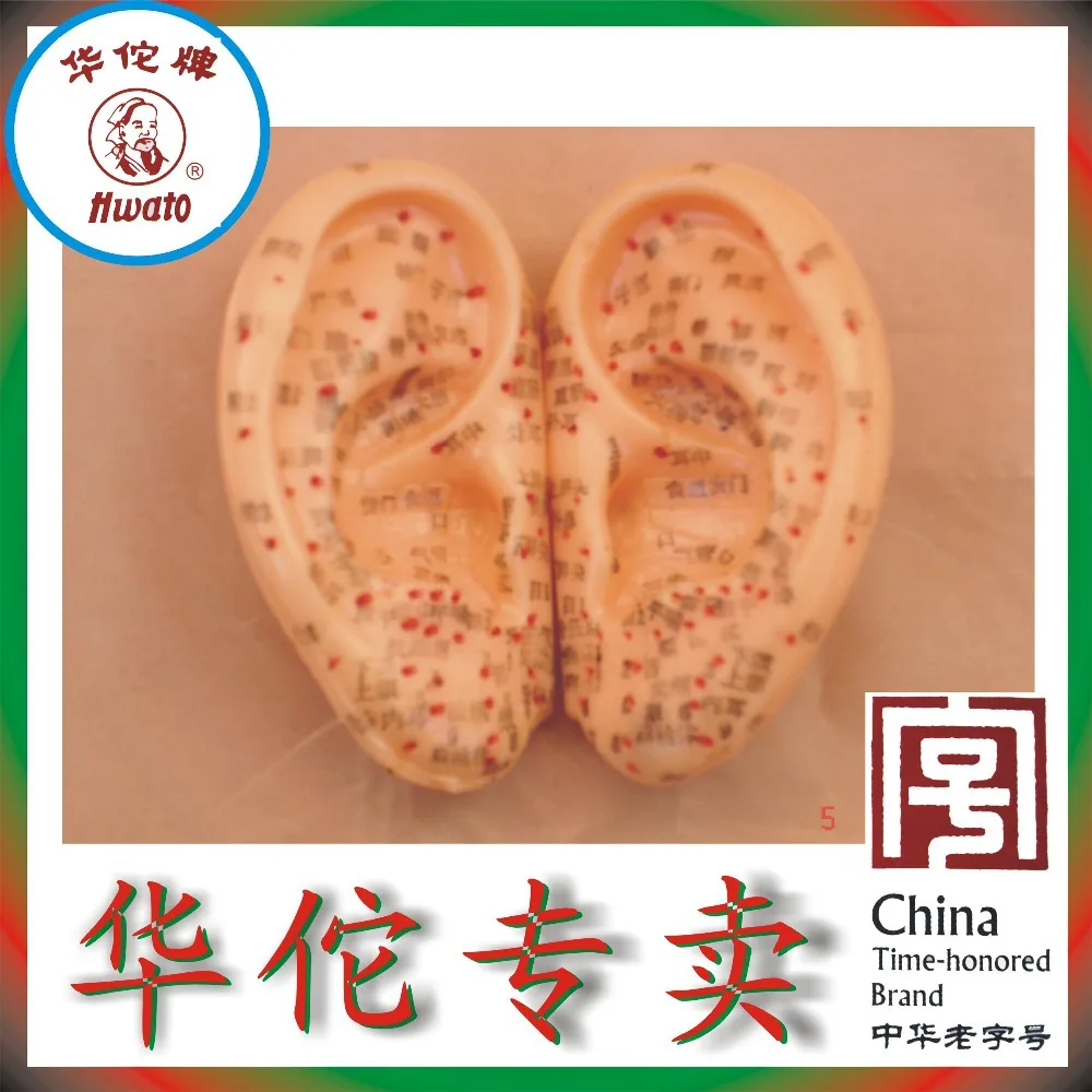 Hwato A pair of ear acupuncture points auricular acupuncture point