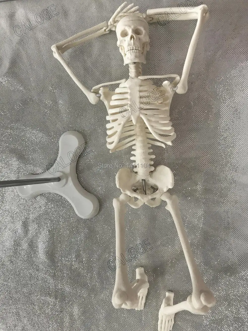 Специальные предложения на продажу и 45 см маленькая модель кости, модель скелета человека, модель скелета, художественный эскиз, подарок, кукла. Человеческая модель