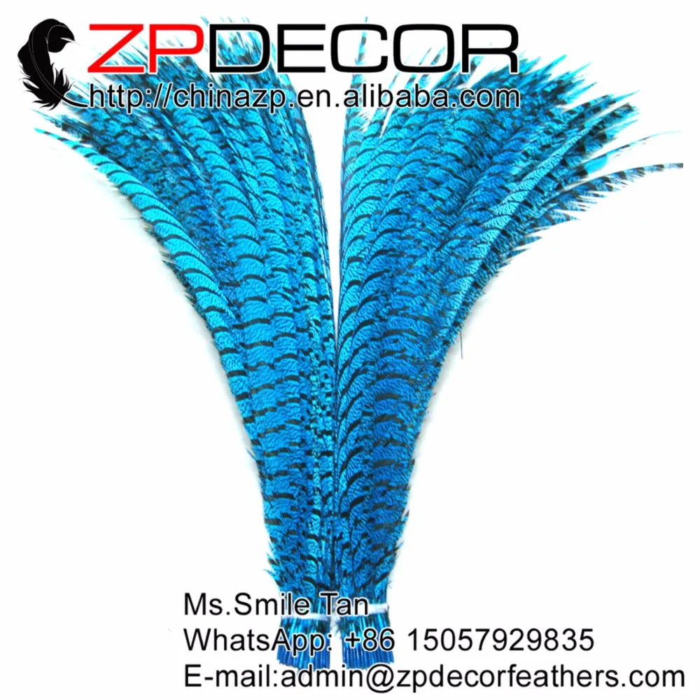 

ZPDECOR 20pcs/lot 30-34inch(75-87cm) Turquoise Blue Good Quality Zebra Pheasant Feather for Carnival Decoration Headdress