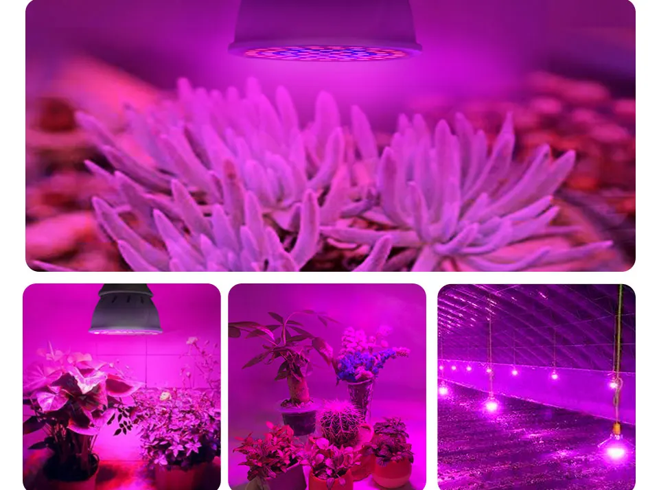 lamp for plants (4)