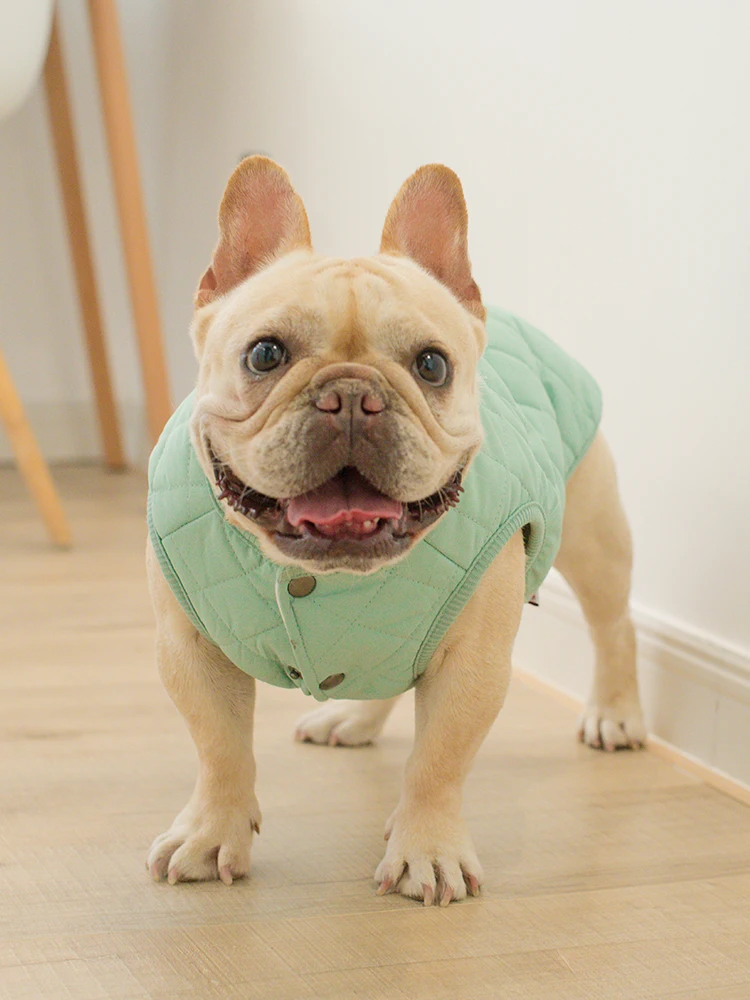 Dog Clothes Dog Vest Cotton Thicken Dog Shirt French Bulldog Chihuahua Cat Shirt Pet Clothes Ropa Perro Pug Hond Spring Puppy