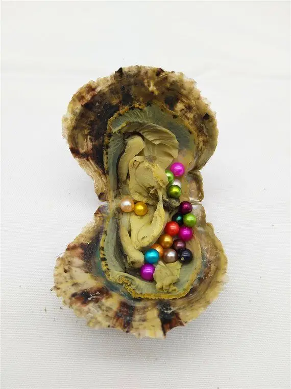 15 цветных круглых жемчужин в соленой воде Oysters Akoya Mini Monster с жемчужинами внутри