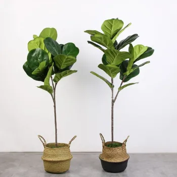 

5PCS Real Touch Artificial Banyan tree Branch Artificial Banyan tree Plant Fake Banyan tree Bouquet For Home Garden Decoration