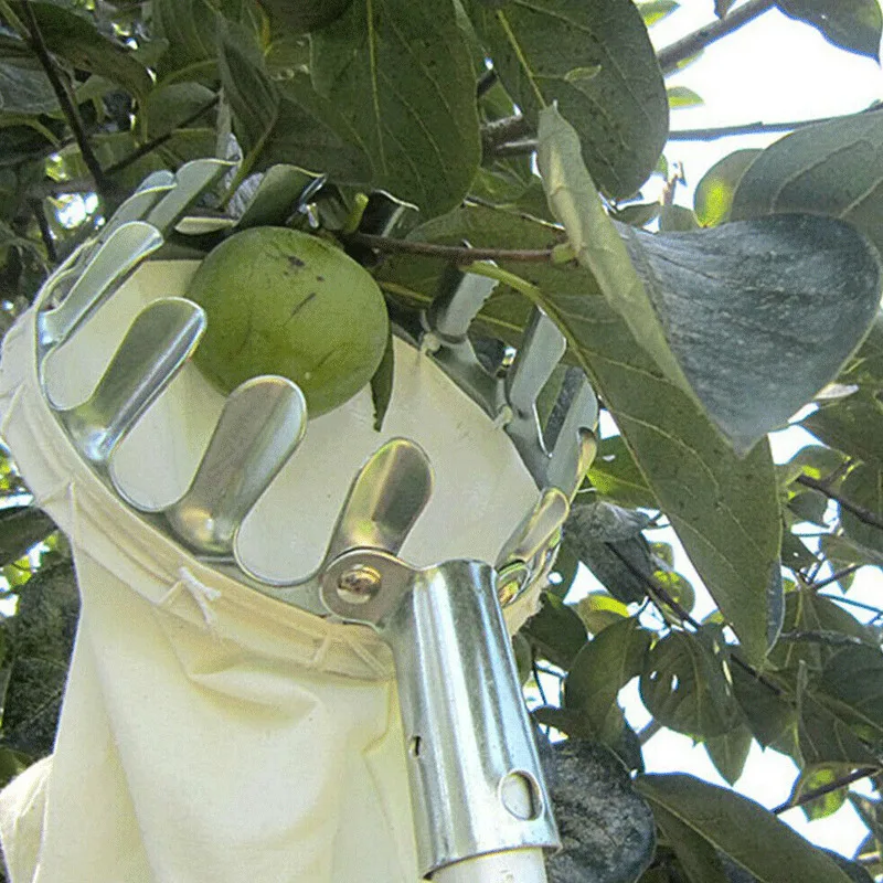 Корзина с головкой для фруктов сбор фруктов инструменты зажимы с корзиной