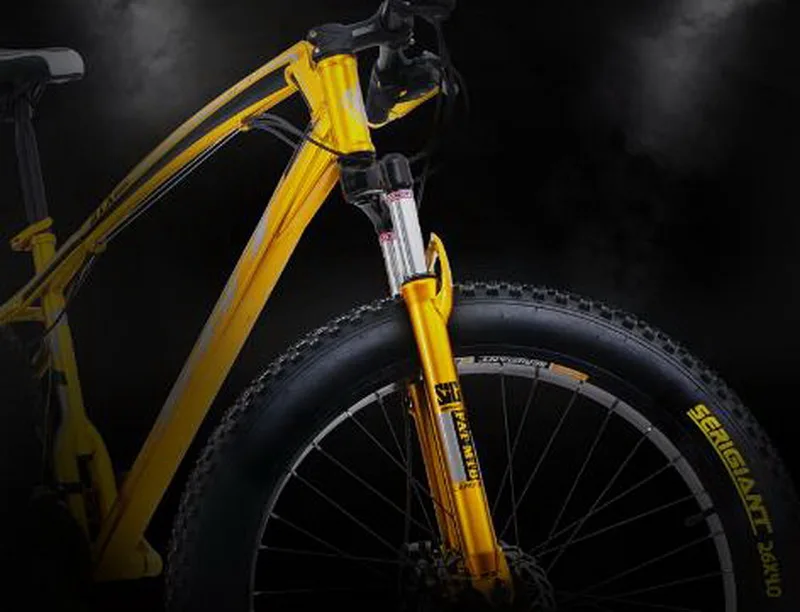 36020170223135346503