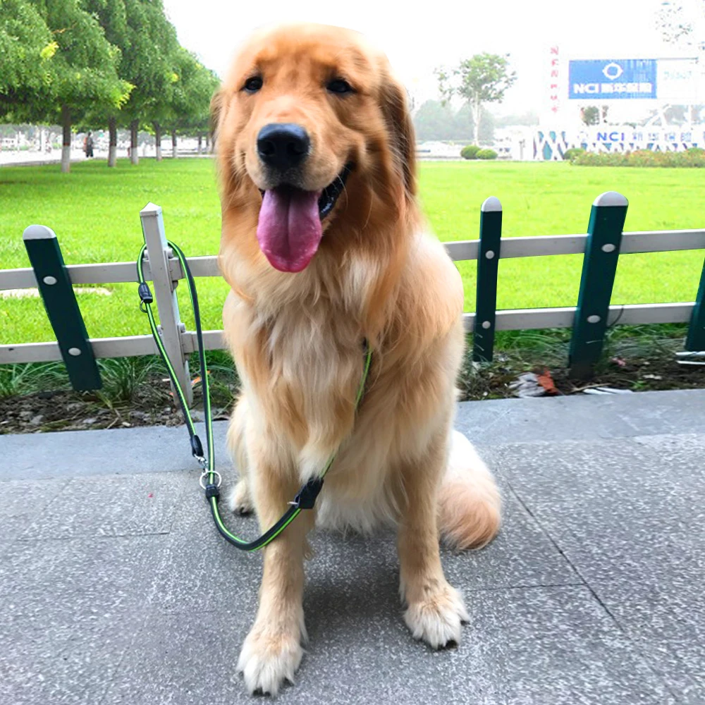 Светоотражающий Поводок для собак Hands Free Нескользящие поводки для ...