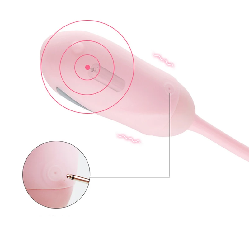 7828419521_1717917312