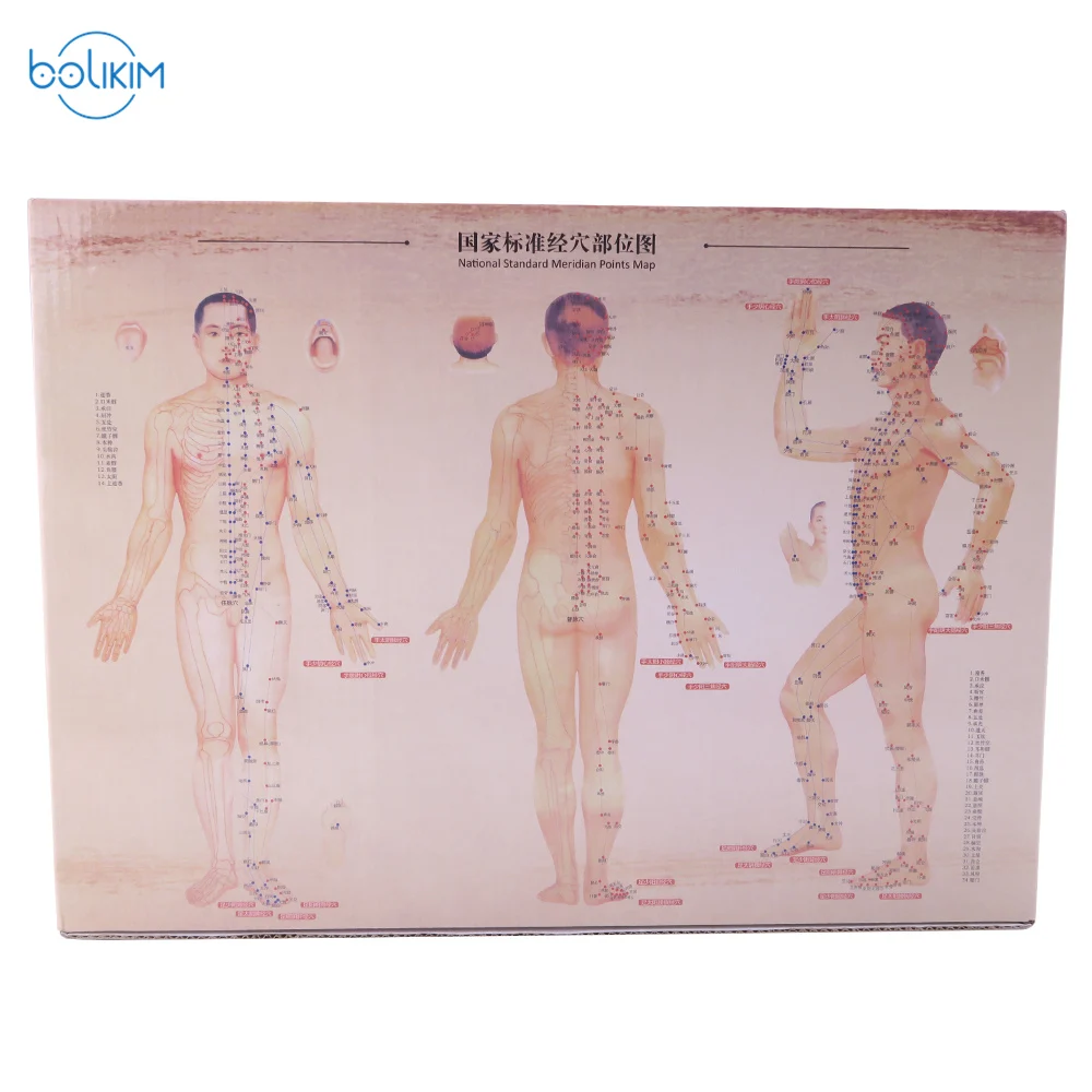 BOLIKIM 28Pcs Magnetic Massage Jars Cupping Suction Cup Acupuncture Massager Therapy Thicken Massage Vacuum Cans Vacuum Cupping BOLIKIM 28Pcs Magnetic Massage Jars Cupping Suction Cup Acupuncture Massager Therapy Thicken Massage Vacuum Cans Vacuum Cupping