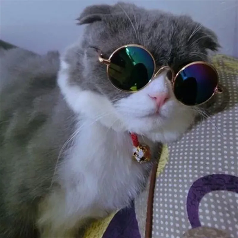 Fashionable Multi Color for random Pet small Dog cat Sunglasses Eye