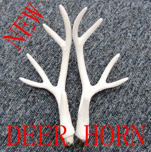 

Free shipping 17cm white color deer horn for head and property