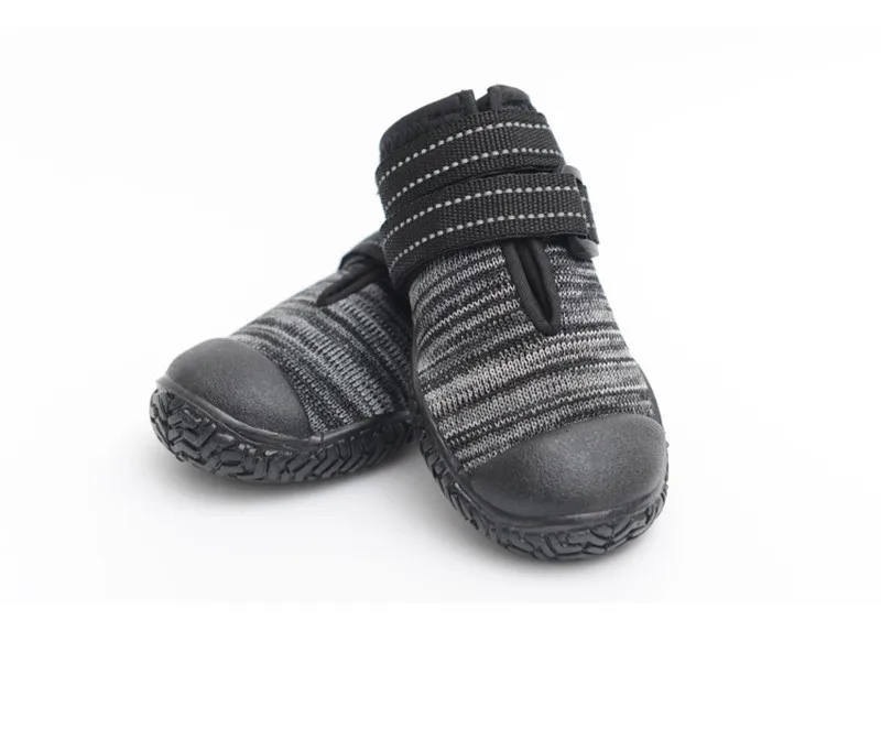 dog shoes (2)