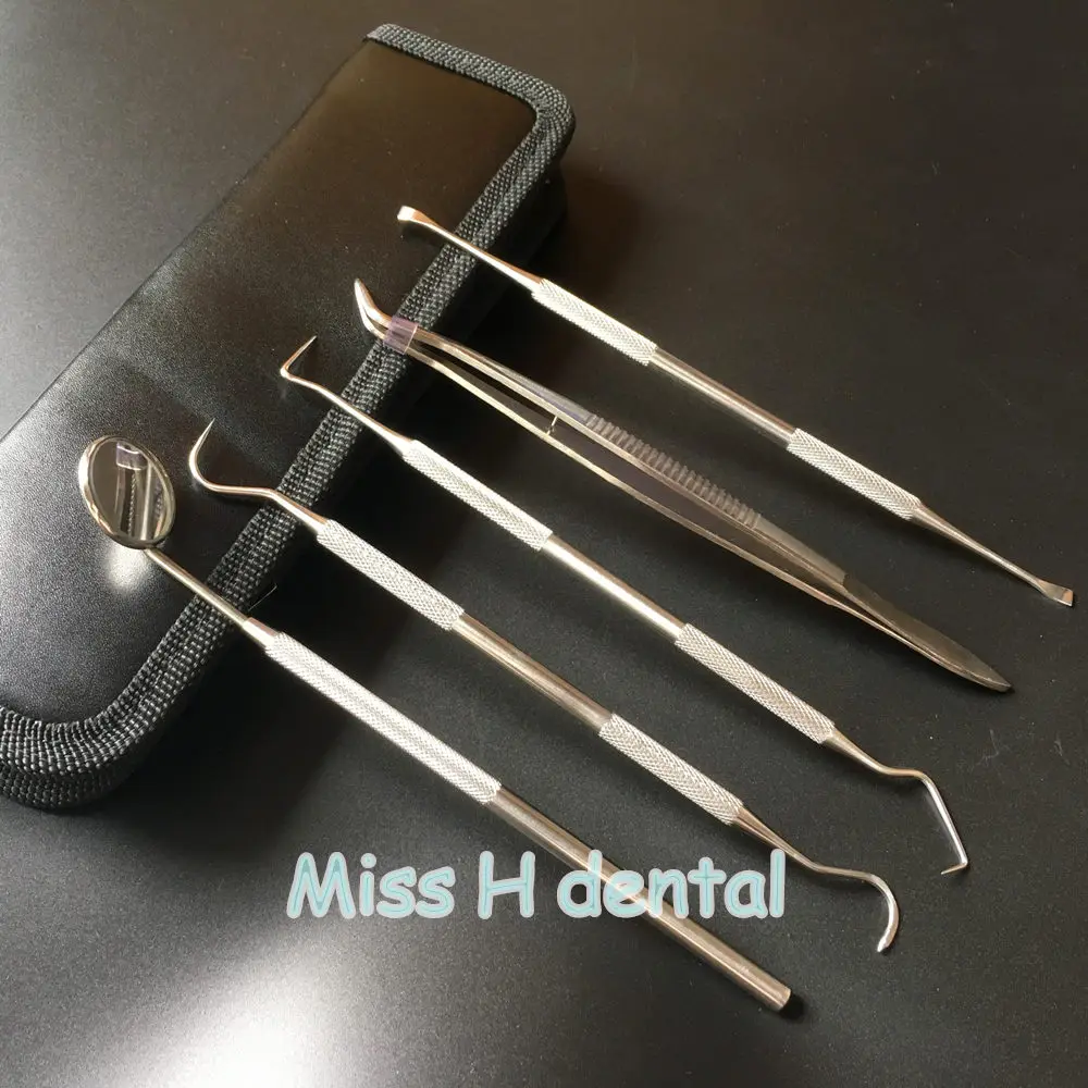 5Pcs /set Stainless Dental Tool Set Kit Dentist Teeth Clean Hygiene