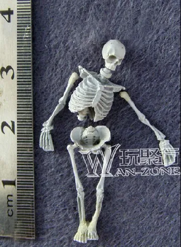 

Scene Accessories Skull Scenario member corpse Common