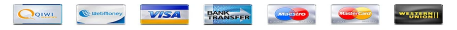 payment terms