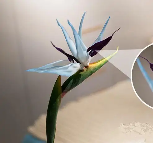 

artificial Strelitzia queen's bird sky blue color real touch flower arrangement source material home hotel decoration big size
