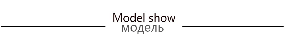 MODEL 