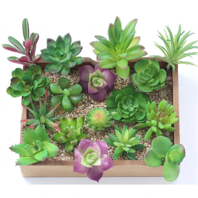 ミニ多肉植物 1ピース テーブルデコレーション用の人工多肉植物 ヤシ 盆栽 地元の風景 サボテンの花 Flower Flower Flowers Diyflowers Artificial Aliexpress