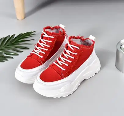 36020190320091403858