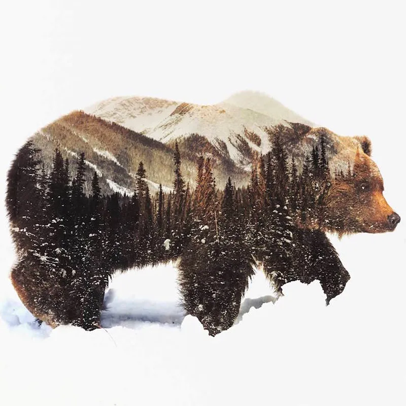 Dispaint-Full-Square-Round-Drill-5D-DIY-Diamond-Painting-Bear-scenery-Embroidery-Cross-Stitch-3D-Home_