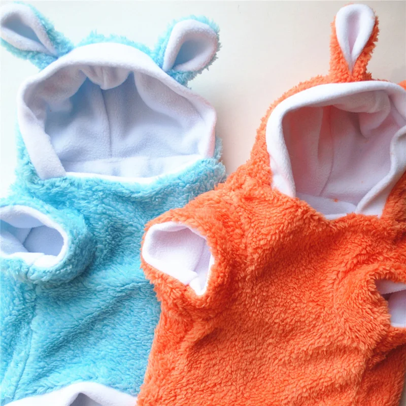 5583441973_361259826