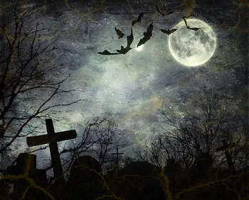 

Night Sky Full Moon Halloween Cemetery Tree Scary background Vinyl cloth High quality Computer print party backdrop
