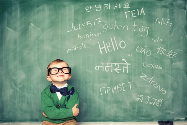 World Top Level Language Study Software Study Learn English Chinese German Italian French Russian Portuguese Arabic Languages Software Radio Software For English Languagelanguage Study Software Aliexpress
