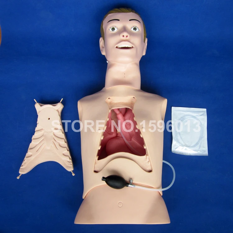 K 80 NG intubation manikin (1)