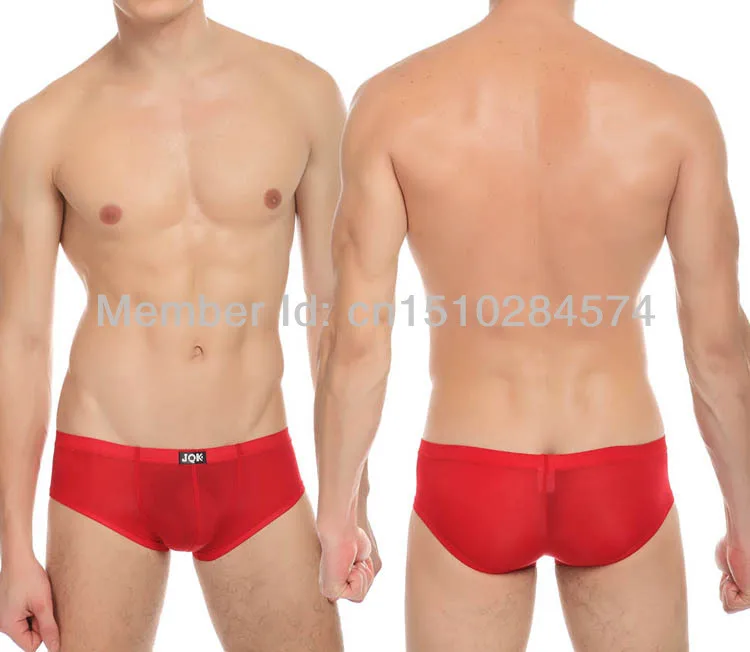 See Through Penis Seduction 5 Color Gay Male Panties Sexy Sheer Men's