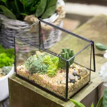 Indoor Rectangle Clear Glass Geometric Terrarium Box DIY Tabletop Succulents Fern Moss Plants Micro Landscape Bonsai