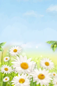 

Daisy Printed Spring Photo Backdrops Art Fabric Backdrop For Studio Children Photography Backgrounds D-9896